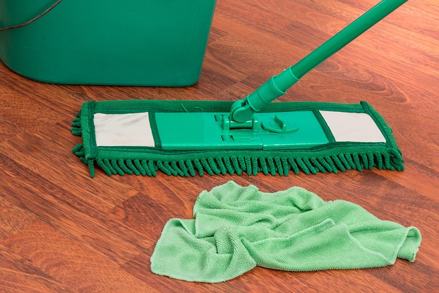 mop, bucket, chores, housework, clean, household, hygiene, cleanup, cleaning, maid, cleaner, floor cleaning, housekeeping, domestic chores, housekeeper, janitor, cloth, washing, floor, wipe, domestic, wash, routine, swab, microfiber cloth, mop, mop, mop, floor cleaning, floor cleaning, housekeeping, janitor, janitor, janitor, janitor, janitor